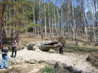 image_0031.JPG: сунуть башку в пасть крокодилу - старинная туристская забава